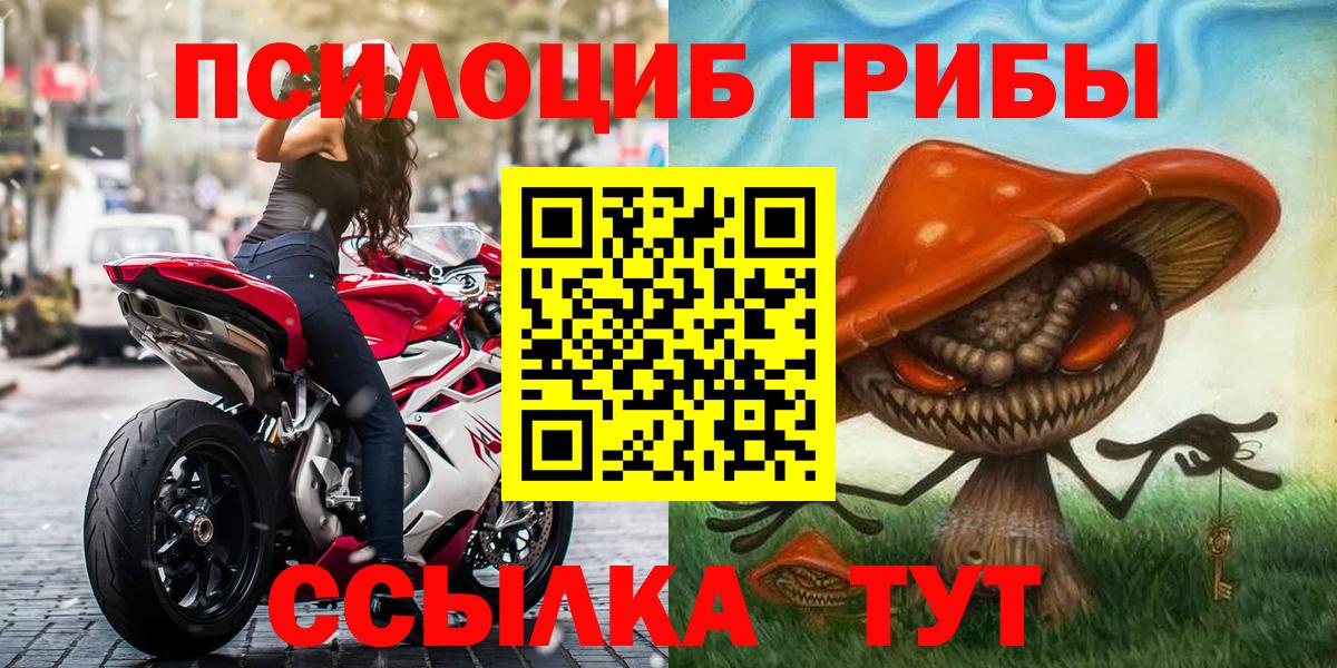 Псилоцибиновые грибы Psilocybe  Вход с VPN  Среднеуральск  Галлюциногенные грибы прущие грибы 