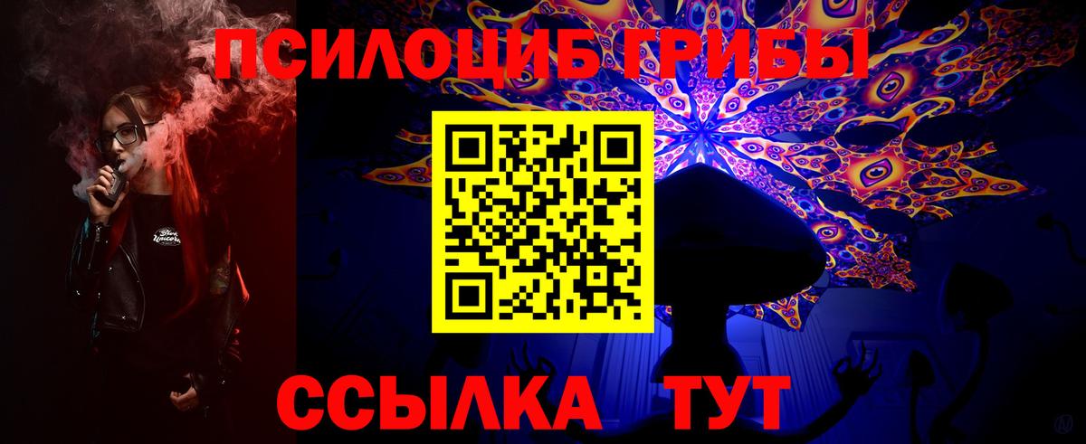 Галлюциногенные грибы Psilocybine cubensis Среднеуральск